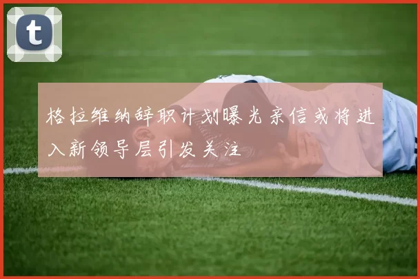 格拉维纳辞职计划曝光亲信或将进入新领导层引发关注
