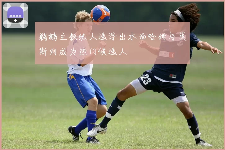 鹈鹕主教练人选浮出水面哈姆与莫斯利成为热门候选人